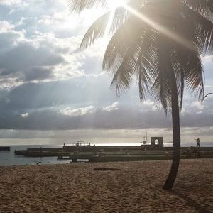 Meet your Posher, Roberto